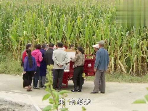 我们村里的人,见证家乡巨变，共筑美好家园梦”