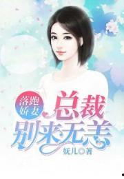 厉总的落跑娇妻不好追,厉总的落跑爱情追逐记