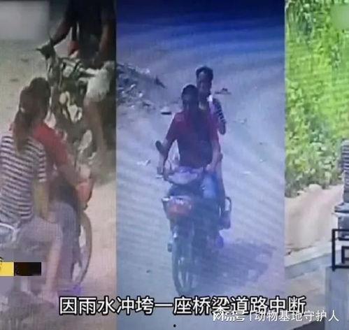 偷情难降落,揭秘情感纠葛的挣扎与抉择