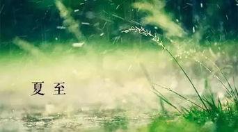 夏至吻落时,浪漫时光里的青春印记