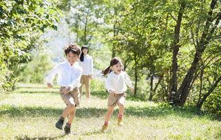 孩子们的秘密,揭开孩子们神秘世界的秘密面纱