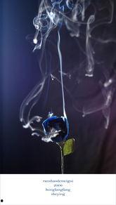 燃烧蓝 214,揭秘神秘燃烧现象背后的科学奥秘