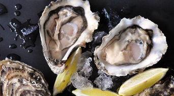 我的海蛎子男友,浪漫邂逅的海鲜爱情故事