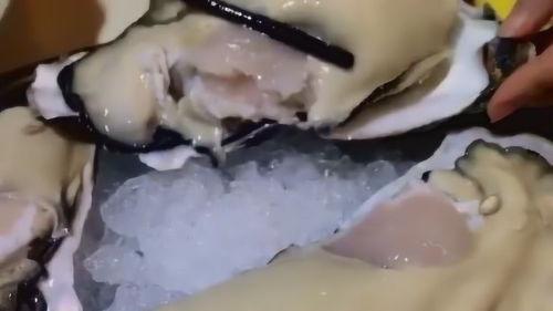 我的海蛎子男友,浪漫邂逅的海鲜爱情故事