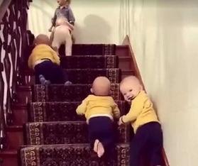 空降四胞胎高冷爹地宠妻没底线