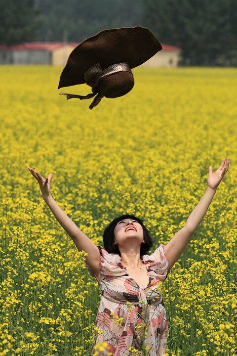 金色六音,探寻古老旋律中的神秘力量