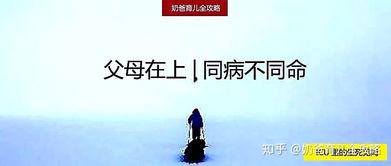 父亲在上,一位父亲的人生轨迹与影响