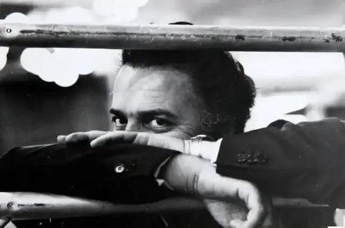 费里尼：我是说谎者,揭秘电影大师的虚构与真实