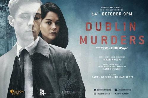 都柏林凶案,迷雾重重的悬疑谜团揭开