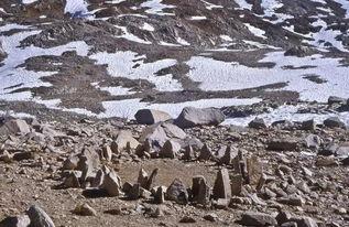 撒哈拉 1983,见证沙漠的变迁与挑战